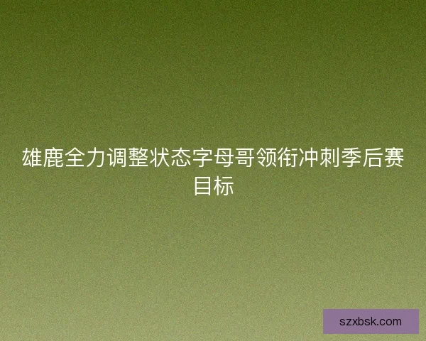 雄鹿全力调整状态字母哥领衔冲刺季后赛目标 雄鹿全力调整状态字母哥领衔冲刺季后赛目标